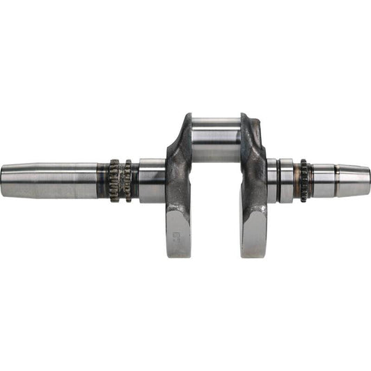 Photo - Primary