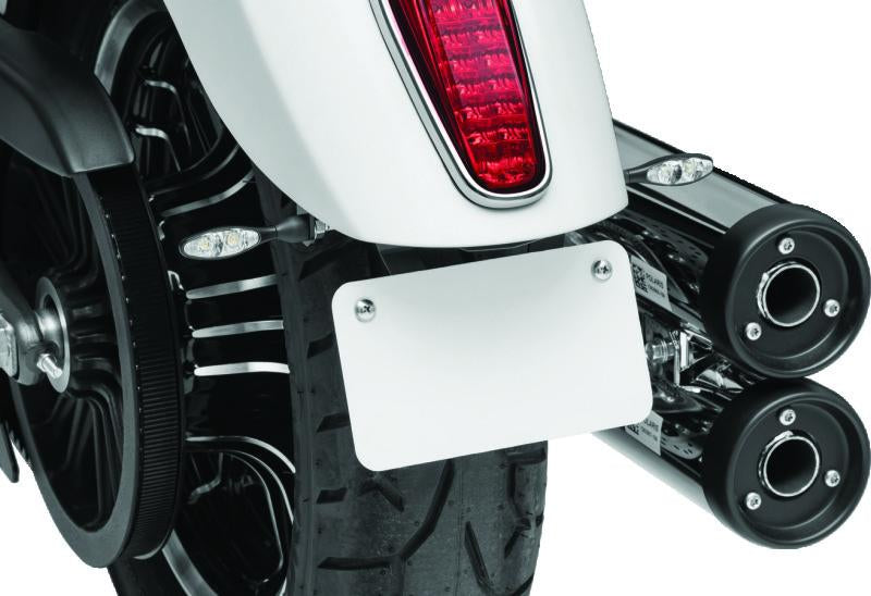 Kuryakyn Rear Turn Signal / License Plate Mount Scout