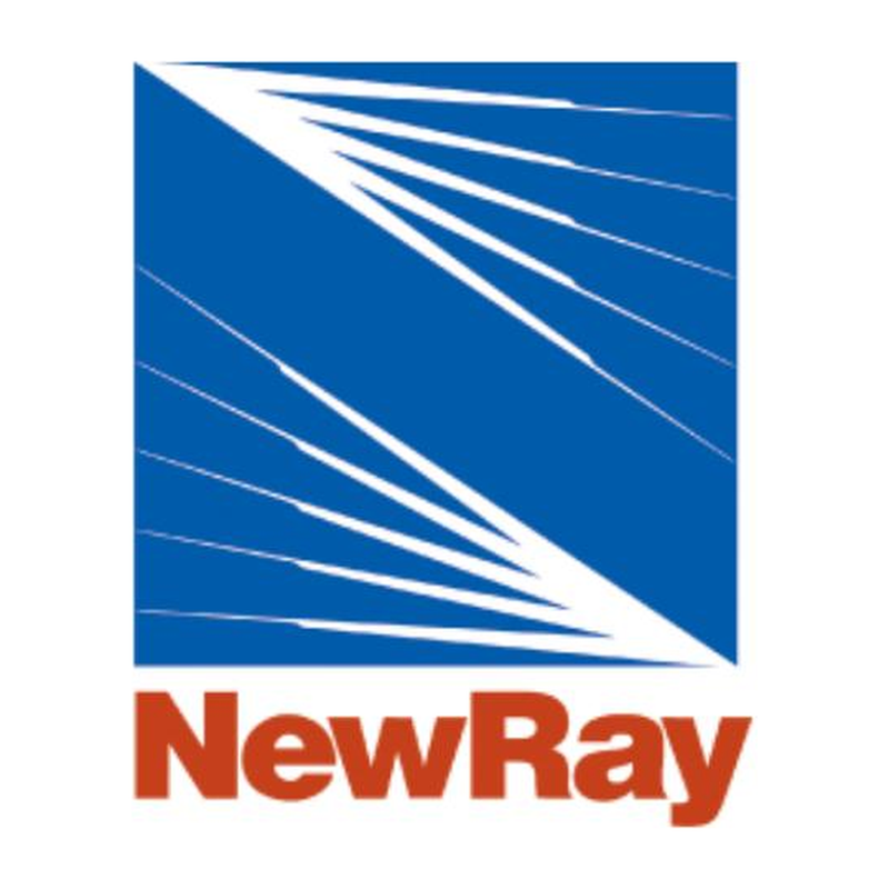 New Ray Toys