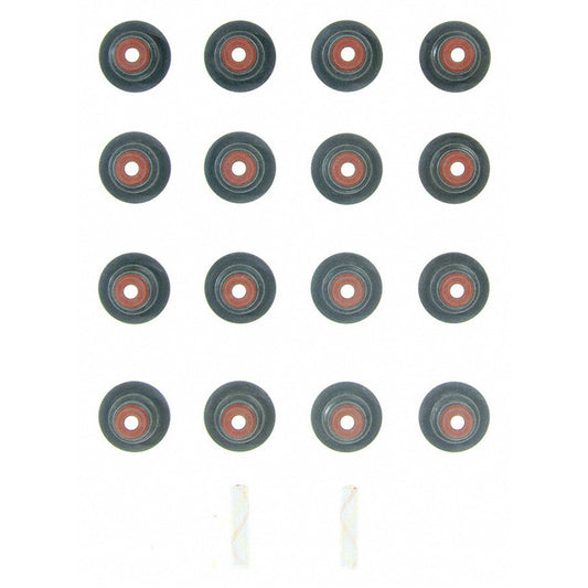 Photo - Primary