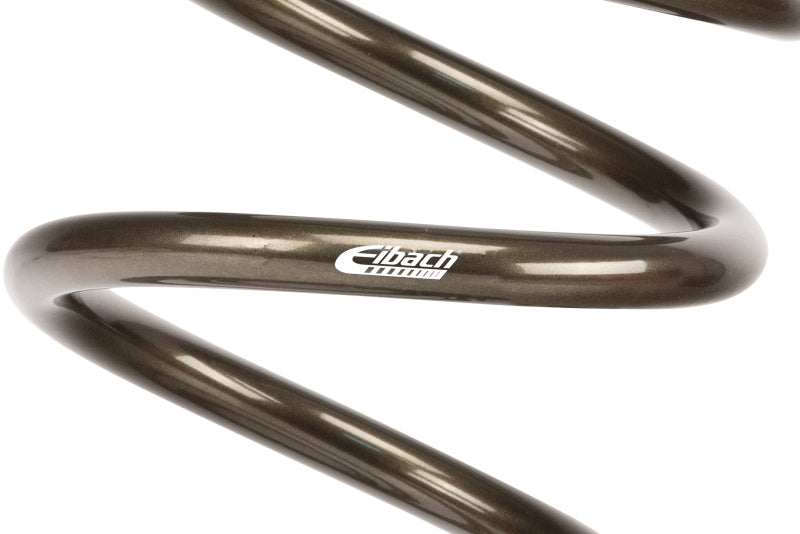 Eibach ERS 16in L x 5.00in OD Platinum Rear Spring - 88 lbs/in