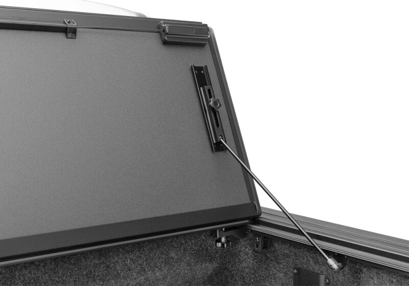 Photo - Close Up