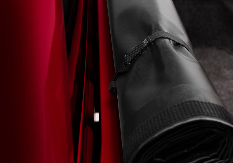 Photo - Close Up