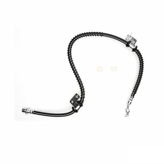 Photo - Primary