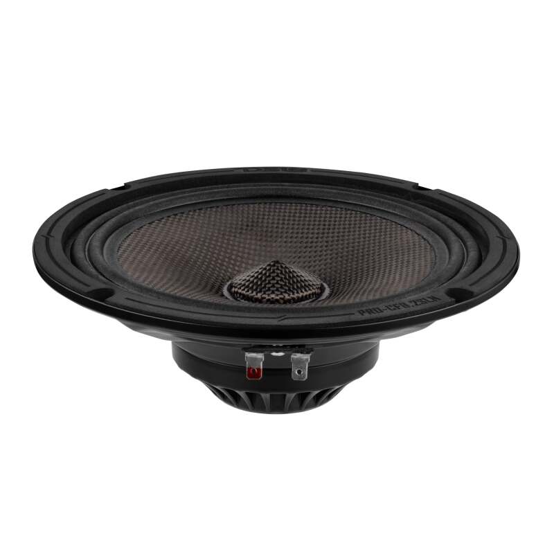 DS18 8in 200 Watts RMS 2 ohm Mid-Range Loudspeaker Neodymium Shallow